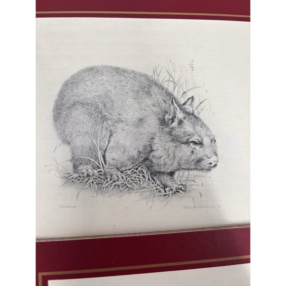 Vintage Clover Leaf Set 6x Place Table Mats Cork Australian Animals Fauna Wombat - Picture 5 of 7